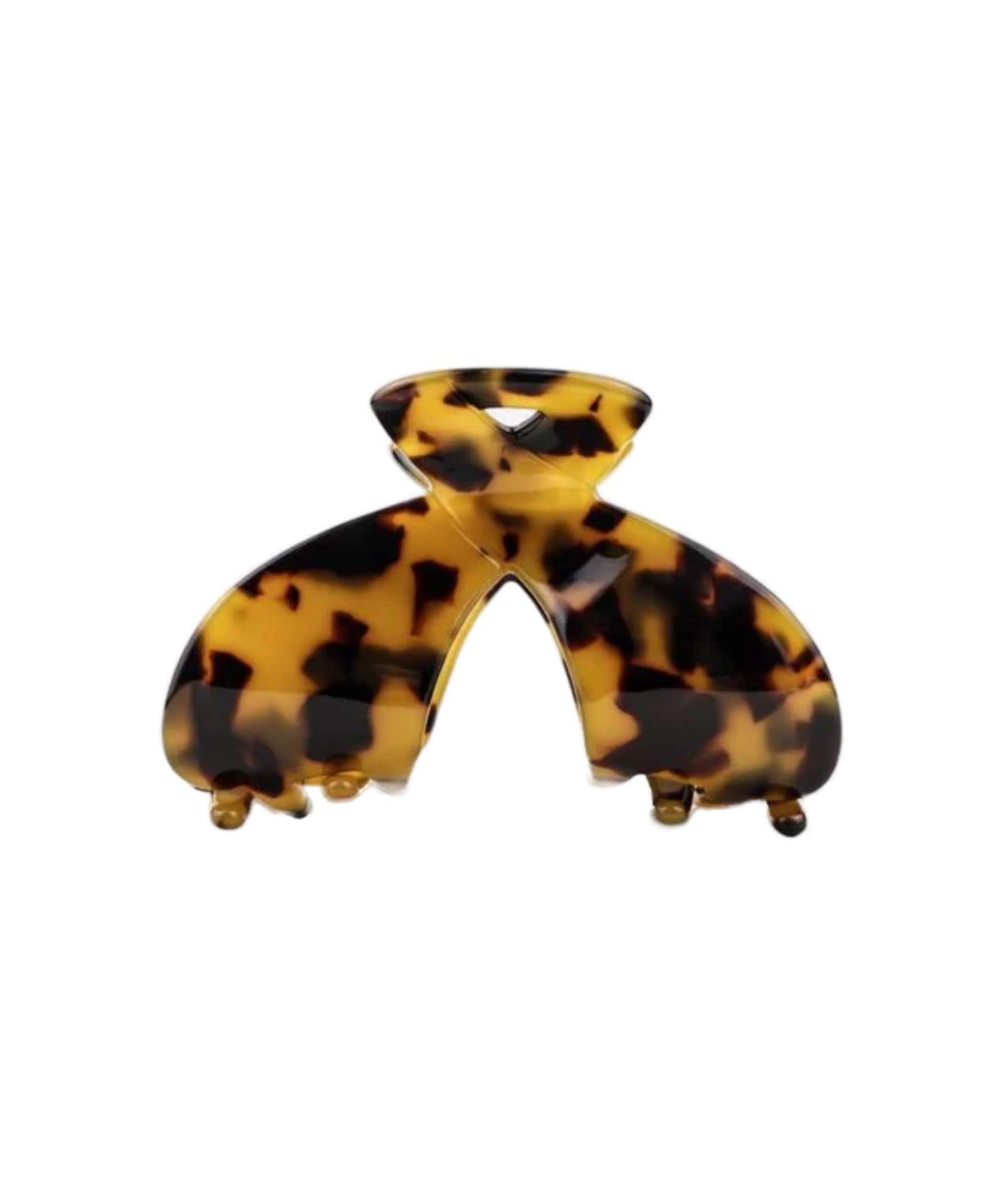 Zoom