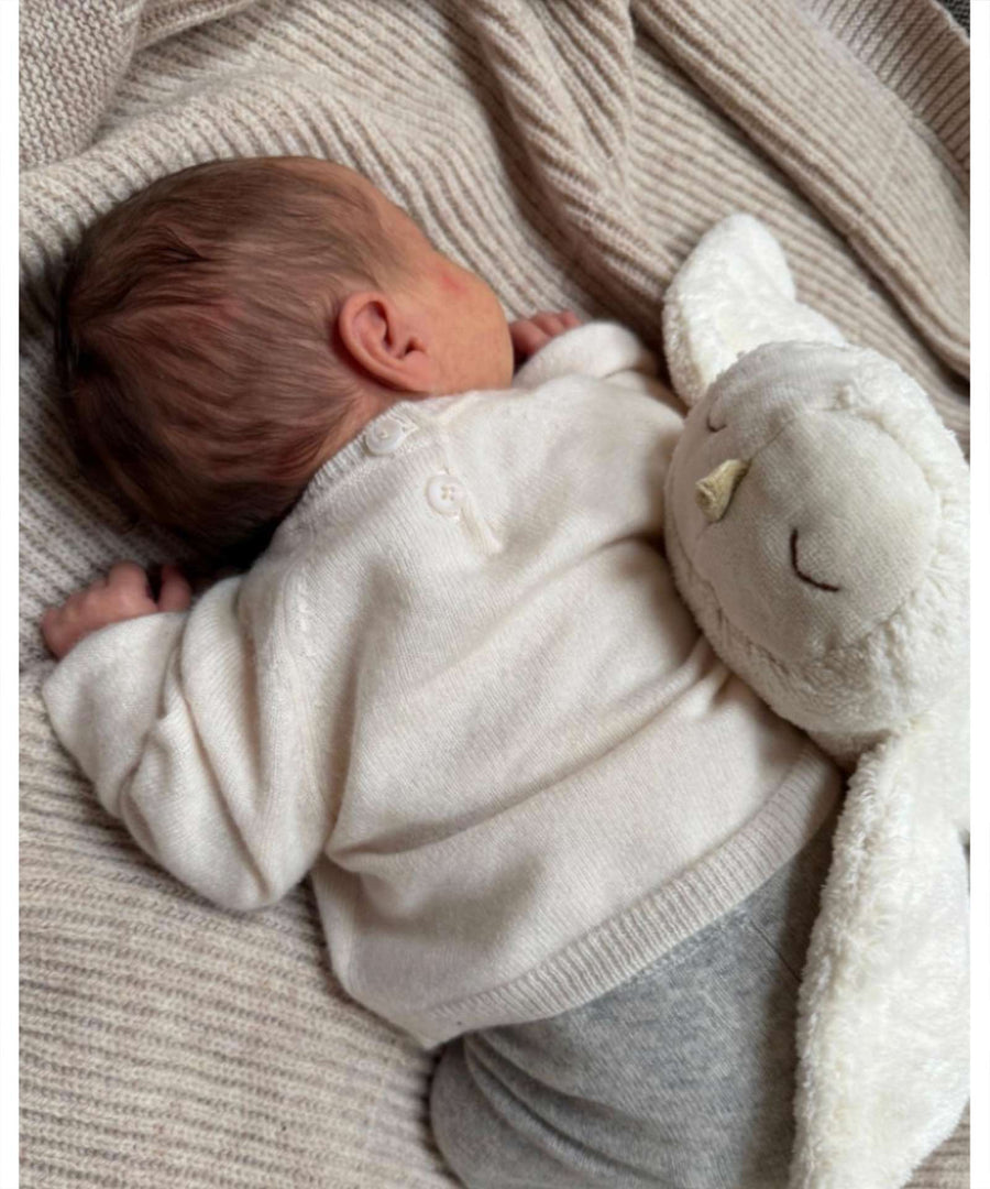 Senger Naturwelt • Kuscheltier Eule