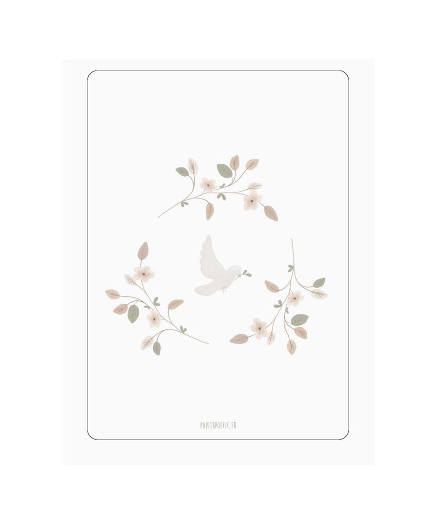 Papier Poetic • Karte "Taube"